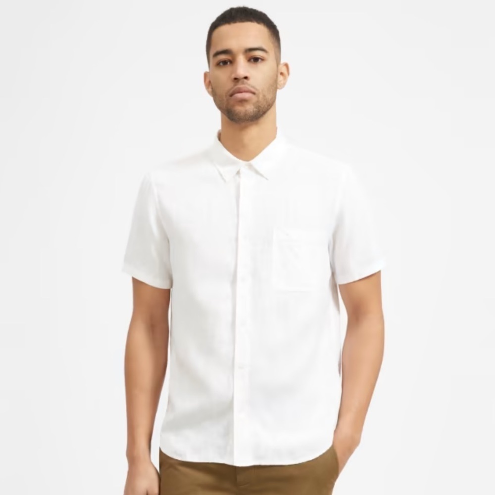 Everlane cotton button down dress shirt